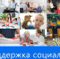 Сборник по социальному предпринимательству АО «Корпорация «МСП» - Департамент инвестиционной политики