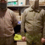 Кадр из видео информационного центра правительства Тюменской области - Tumentoday.Ru