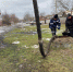 администрация города Краснодона и Краснодонского района - ИА Тюменская линия