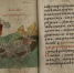В ТюмГУ изучили книгу из коллекции Тобольского мецената - ТюмГУ