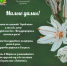 Поздравление руководителя УФССП России по Тюменской области К.М. Хайдарова с 8 Марта - УФССП