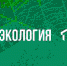 Экологи ТюмГУ узнали, что думают пользователи соцсетей о сборе отходов - ТюмГУ