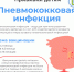 Прививки детям. Пневмококковая инфекция - Роспотребнадзор