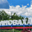 Фото: Юлия Чудинова, АНО «Ямал-Медиа» - Tumentoday.Ru