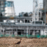 пресс-служба ООО «ЗапСибНефтехим» - ИА Тюменская линия