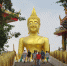 Полины Достоваловой - ИА Тюменская линия