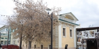 Циклон 1 ноября принесет в Тюмень мокрый снег - ГТРК Регион-Тюмень