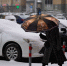 Фото Сергея Мжельского - Tumentoday.Ru