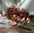 72.fsvps.gov.ru - ИА Тюменская линия