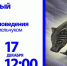 Уроки родиноведения: серебряный медведь - Tumentoday.Ru
