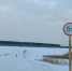 На нестабильной переправе в Тюменской области изменили грузоподъемность - Комсомольская правда