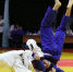 Семь тюменских дзюдоистов отправятся на финал престижного турнира «Russian judo Tour» - Департамент физкультуры и спорта