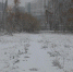 Фото Сергея Куликова - Tumentoday.Ru