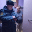 В Омутинском районе проходят профилактические мероприятия - МЧС