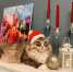 Фото Нины Бариновой - Tumentoday.Ru