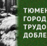 ПРОЕКТ «ТРУЖЕНИКИ ТЫЛА»: итоги 2024 года - ЦГБС Тюмени