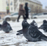 Фото Артемия Романова - Tumentoday.Ru
