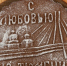 Пряник жительницы Речкина с борщевиком и крапивой устроил фурор на конкурсе - Комсомольская правда