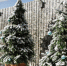 Фото Екатерины Христозовой - Tumentoday.Ru
