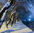 Фото Сергея Куликова - Tumentoday.Ru
