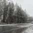 Фото Екатерины Христозовой - Tumentoday.Ru