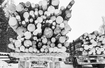 Открываем календарь: начинается прогресс