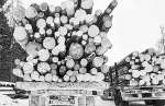 Открываем календарь: начинается прогресс