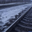 Фото Евгении Ноговициной - Tumentoday.Ru