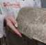 В сыроварне Тюменского района выпускают 18 тонн продукции в год - ИА Тюменская линия