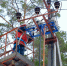 Для надежного электроснабжения - Rayon72.Ru