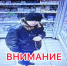 image-31-01-25-04-58 - УМВД Тюменской области