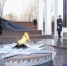 Фото Екатерины Христозовой - Tumentoday.Ru
