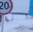 Фото администрации города Тобольска - Tumentoday.Ru
