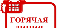 Горячая линия о защите прав потребителей в сфере оказания ветеринарных услуг - TyuMedia.Ru