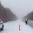 Фото: ГИБДД Тюменской области - Tumentoday.Ru