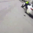 Скриншот видео Госавтоинспекции Тюменской области - Tumentoday.Ru