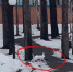 Фото: АУ ТО «ЦКР «Родник» - Tumentoday.Ru