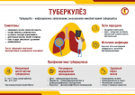 Сегодня начинается месячник борьбы с туберкулезом «Здоровые легкие»!