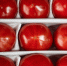 В тюменском магазине продают томаты по космической цене - NG72.Ru