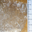 Фото: 72.мвд.рф - Rayon72.Ru