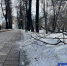 Фото Сергея Куликова - Tumentoday.Ru