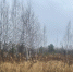 72.fsvps.gov.ru - Newsprom.Ru