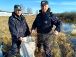 Фото: Нижнеобское ТУ Росрыболовства