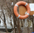 Фото Дениса Моргунова - Tumentoday.Ru