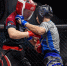 Федерация MMA Тюменcкой области - Newsprom.Ru