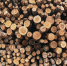 Сергей Елесин, ИА "Тюменская линия" - ИА Тюменская линия
