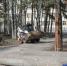 Фото Екатерины Христозовой - Tumentoday.Ru