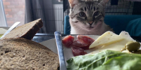 Фото Екатерины Христозовой - Tumentoday.Ru