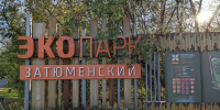 Свыше 350 горожан вышли на уборку экопарка Затюменский - MegaTyumen.Ru