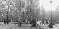 Горожане голосуют за будущее - Тюменский курьер